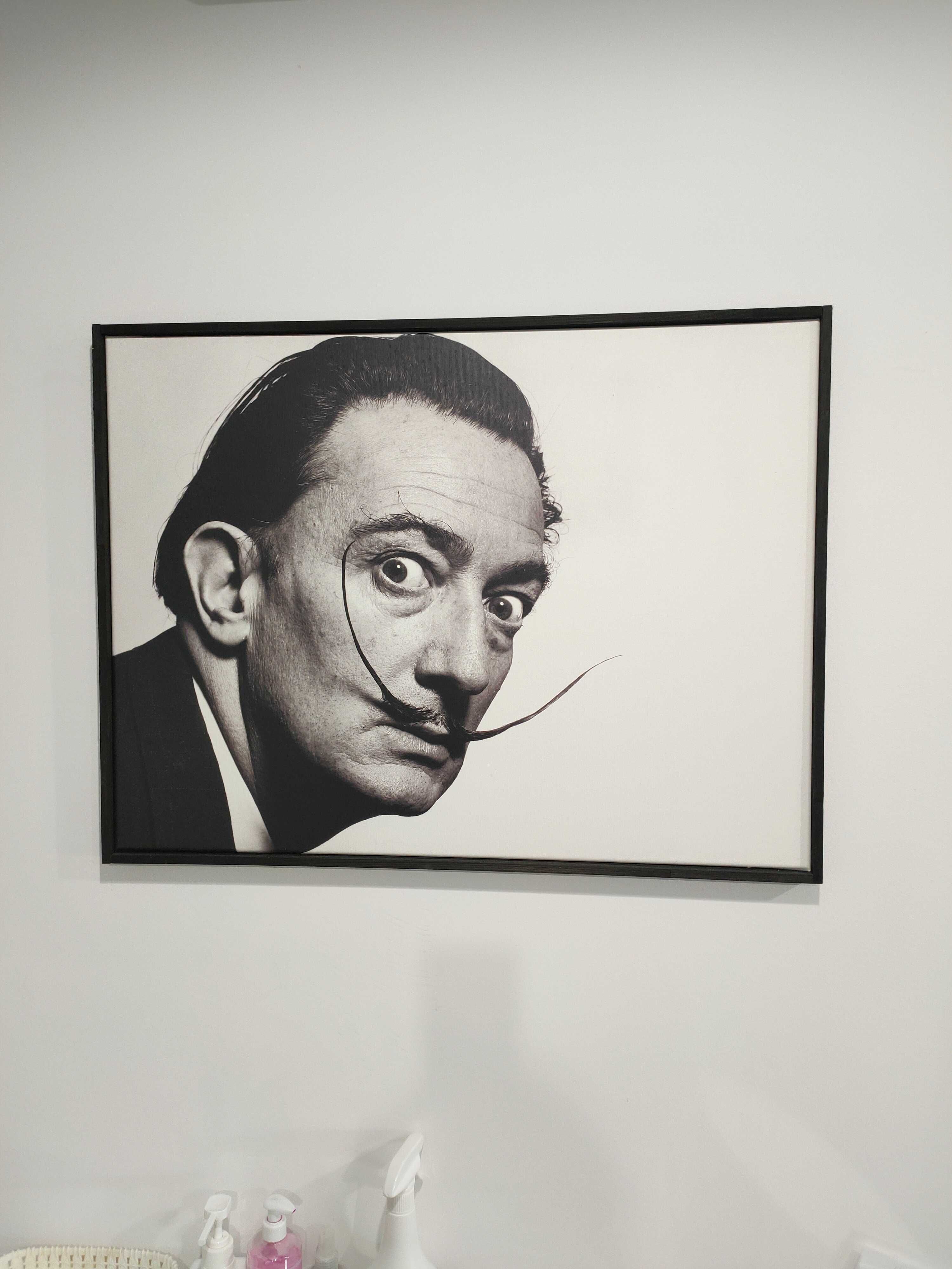 Wydruk na płótnie fotografia Salvadore Dali