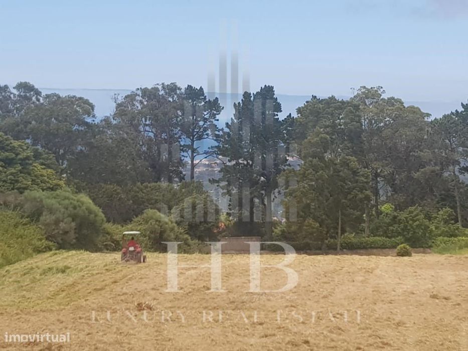 Terreno para Investimento Sintra