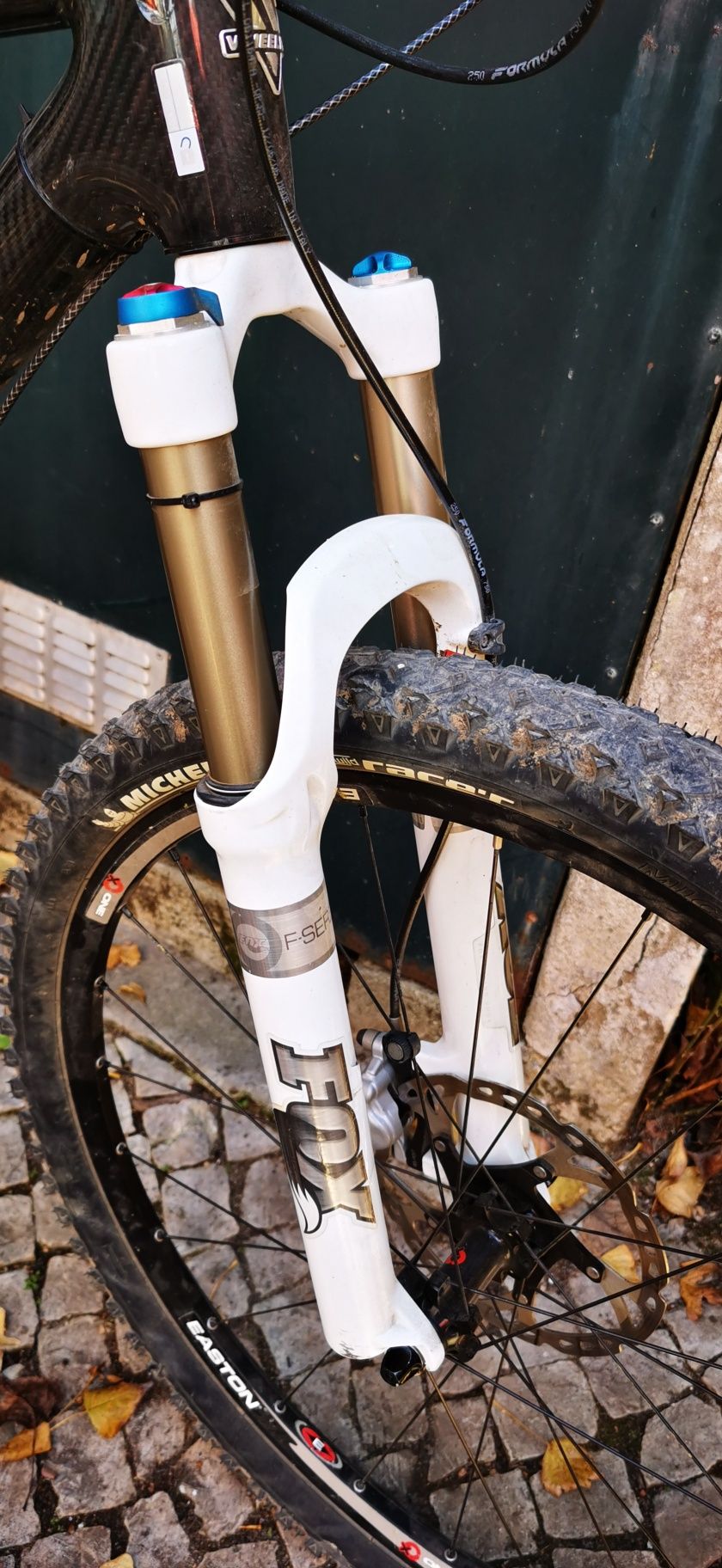 Bicicleta wheeler carbon