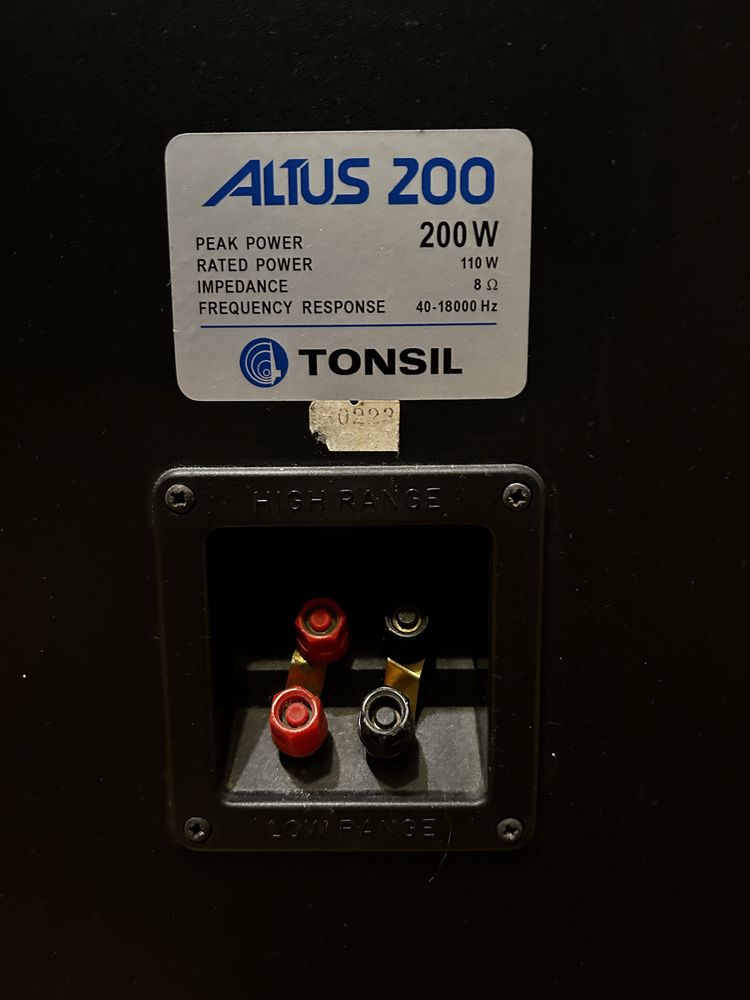 Tonsil Altus 200 + Onkyo TX-8030