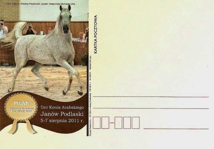 pocztówka koń konie arab PILAR 2011 Janów Podlaski