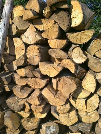 Drewno kominkowe opałowe