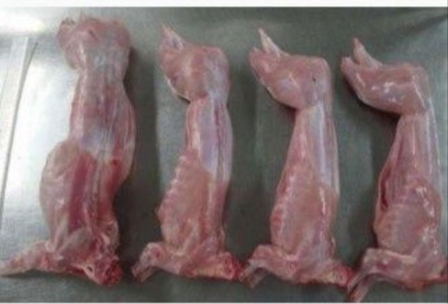 Продам  тушки мяса домашнего кролика