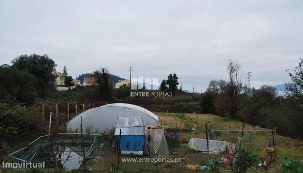 Terreno Vilarelho