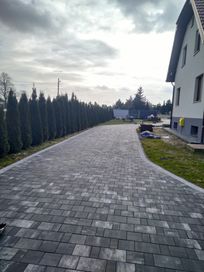 Układanie kostki brukowej.Wolne terminy Rabaty pozasezonowe.Zapraszam!