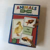 Animals slide & learn Hinkler Books nauka angielskiego