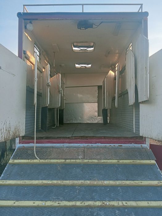 Camioneta carrinha para transporte de cavalos de desporto