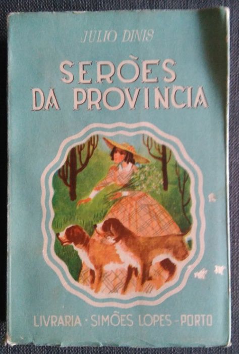 Livros de literatura portuguesa e brasileira