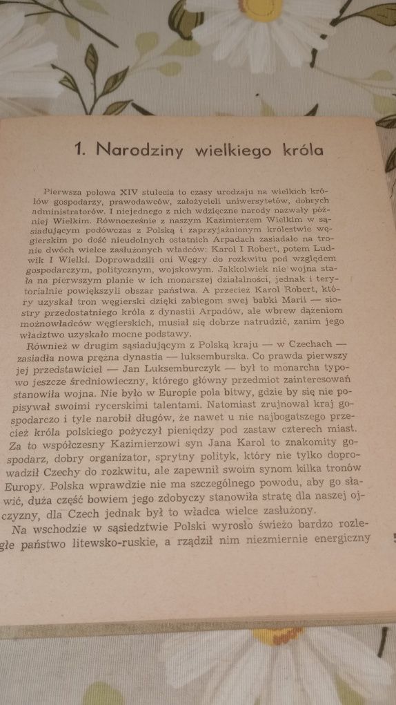 Ostatni z wielkich Piastów. Anna Klubówna