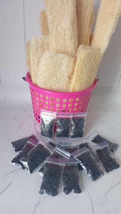 Продам насіння люфи