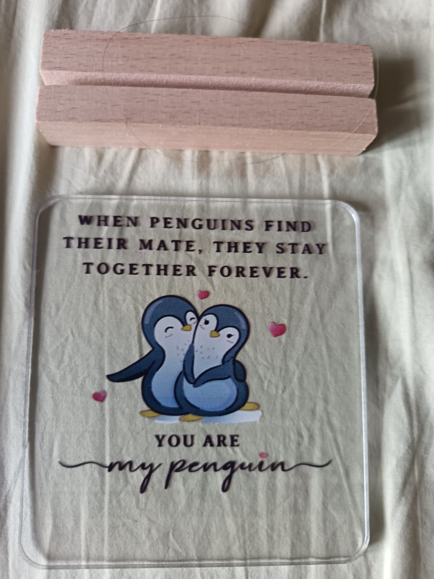 Acrílico com base madeira Pinguim