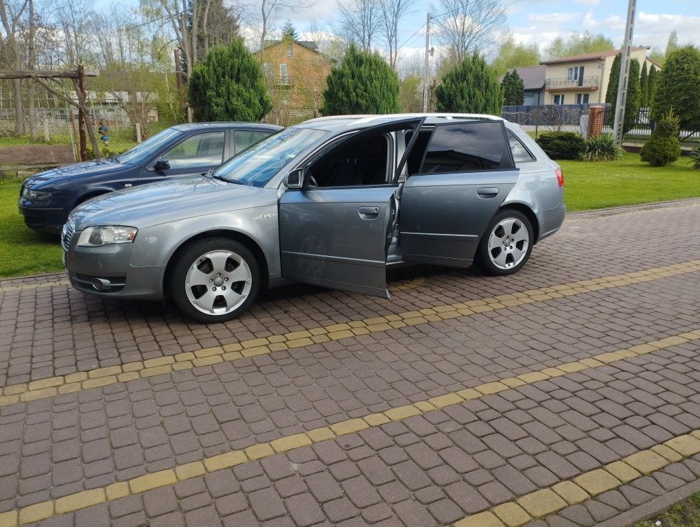 Audi A4b7 2.0 b+g