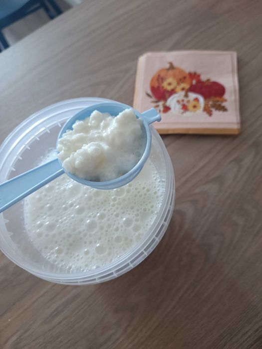 Kefir wodny i mleczny - Tibicos, kryształki tibetianskie.