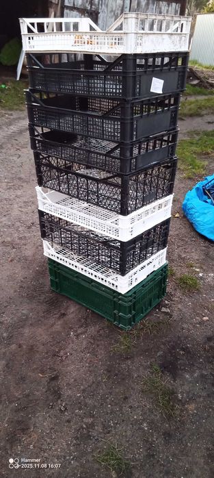 skrzynki wymiar 40x60 10 sztuk