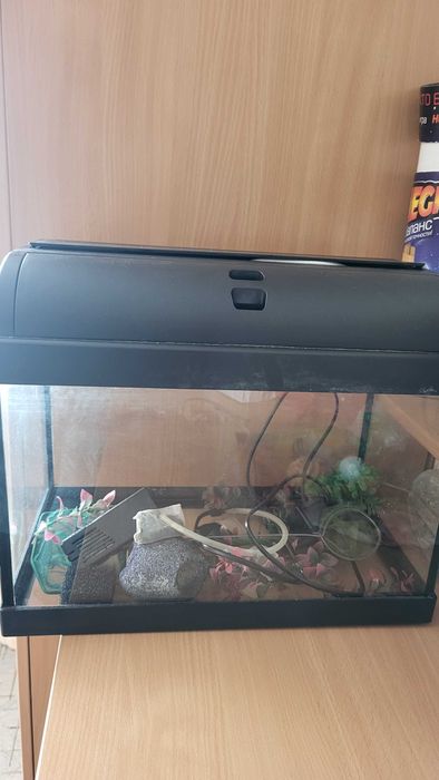 Продам аквариум с фильтром , подсветкой, грунт, зелень