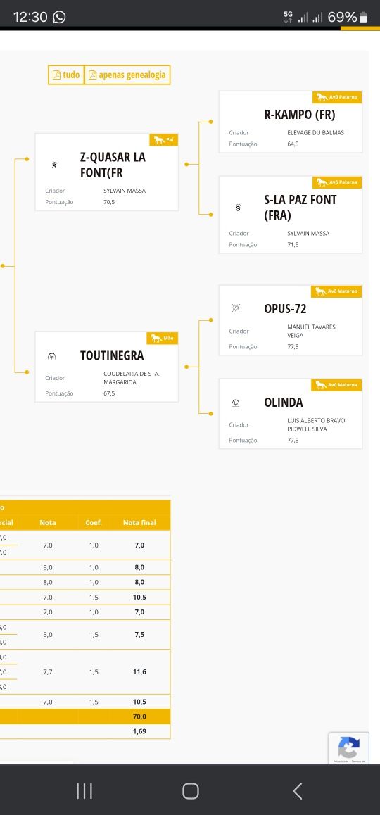 Cobrições disponíveis PSL 70 pts