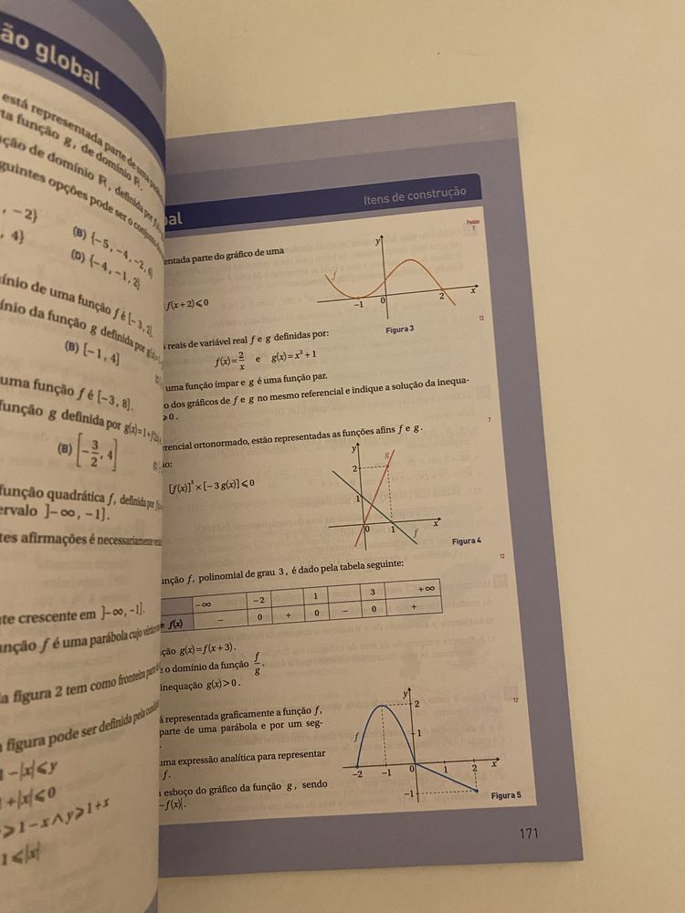 Conjunto manuais e caderno de fichas máximo 10 ano
