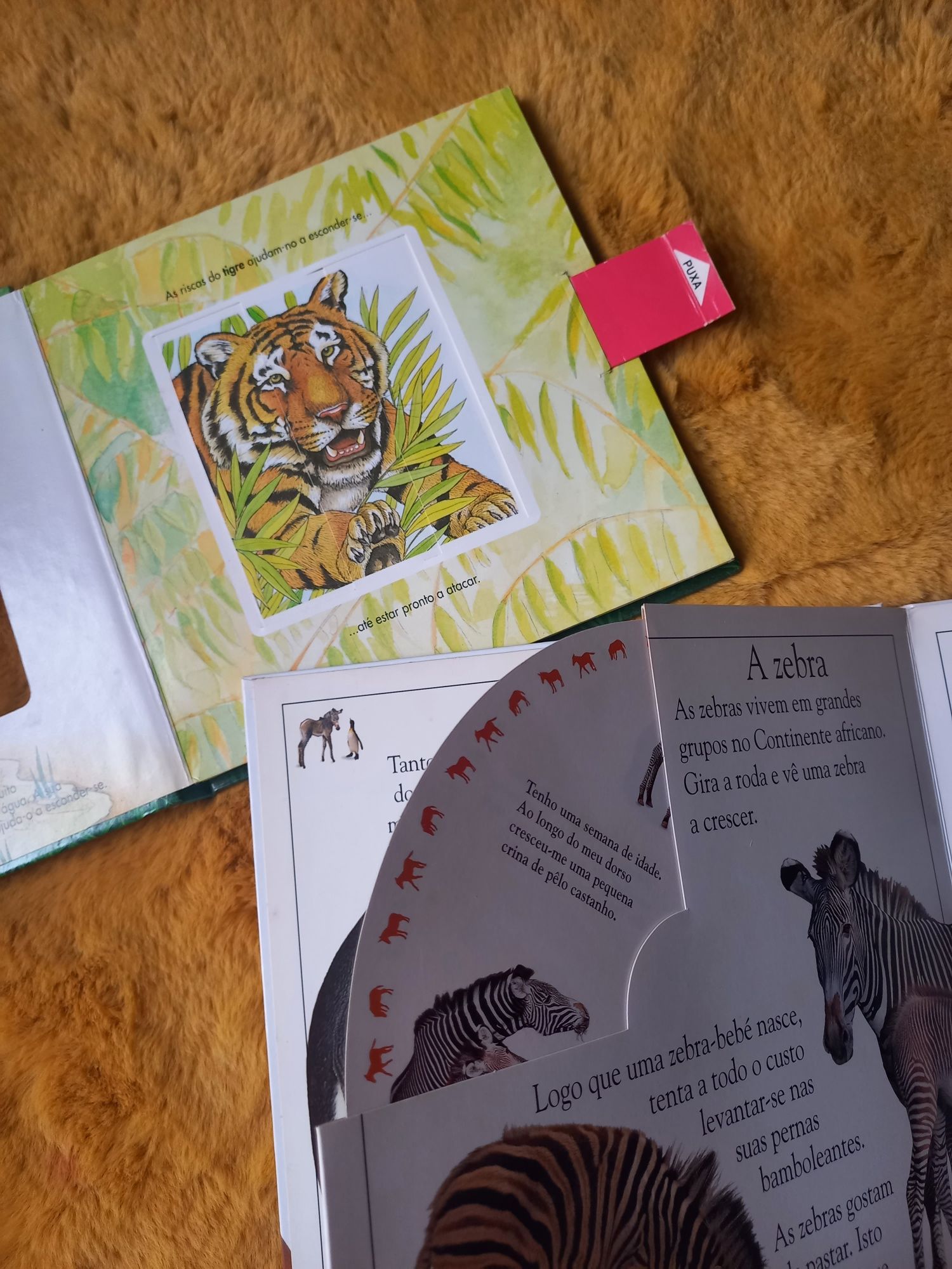 Conjunto de 2 livros para criança