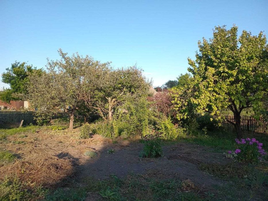 Земельна ділянка 0,18 га. Велика Багачка, Полтавська область.