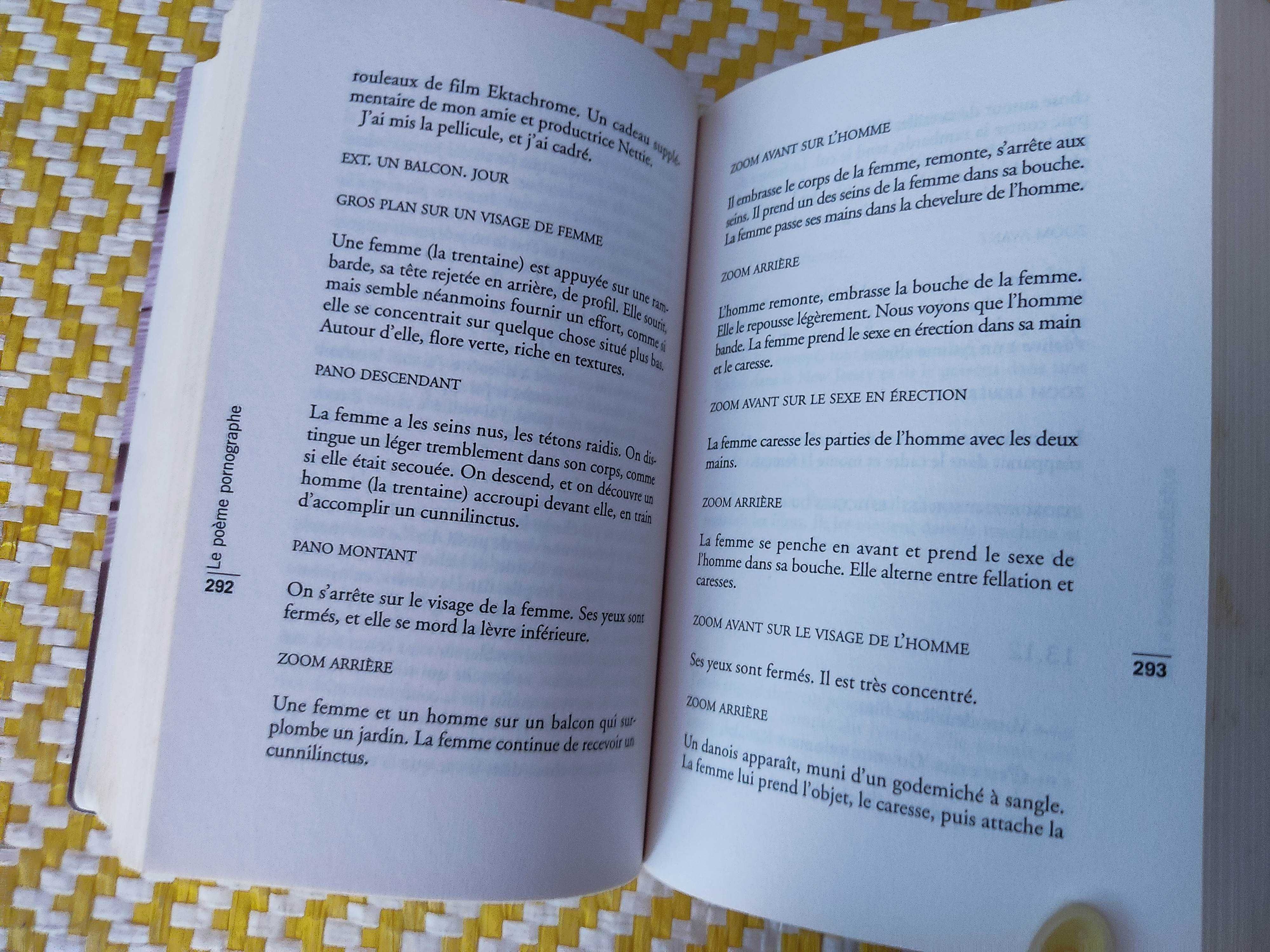 Le poème pornographe – 
Michael Turner