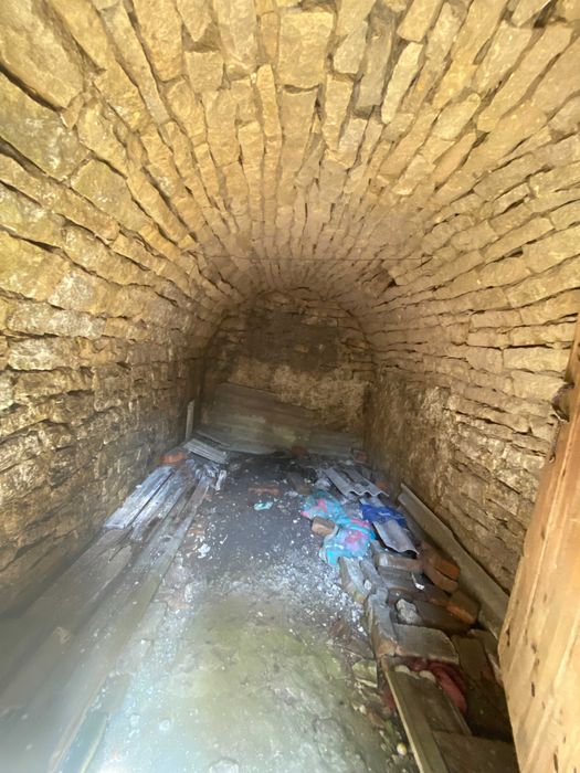 Житловий будинок з прибудинковою ділянкою