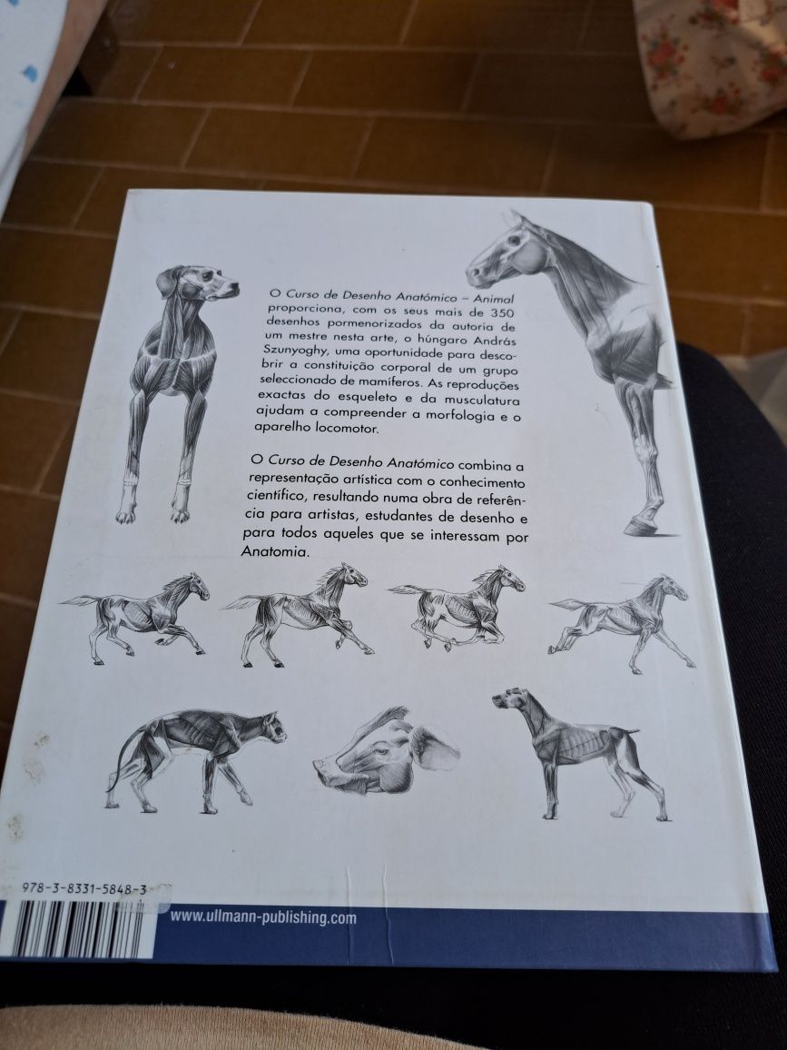 Curso de desenho anatómico  animal