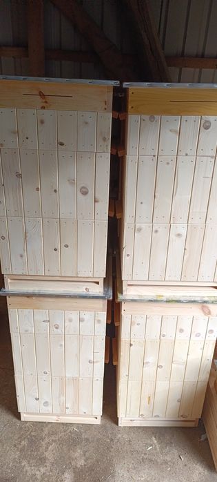 Ule wielkopolskie 10 ramkowe w 2 Gat.