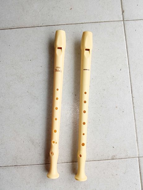 Duas flautas Hohner