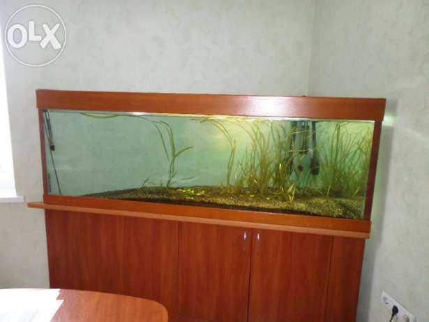 Аквариум 500л вместе с тумбой