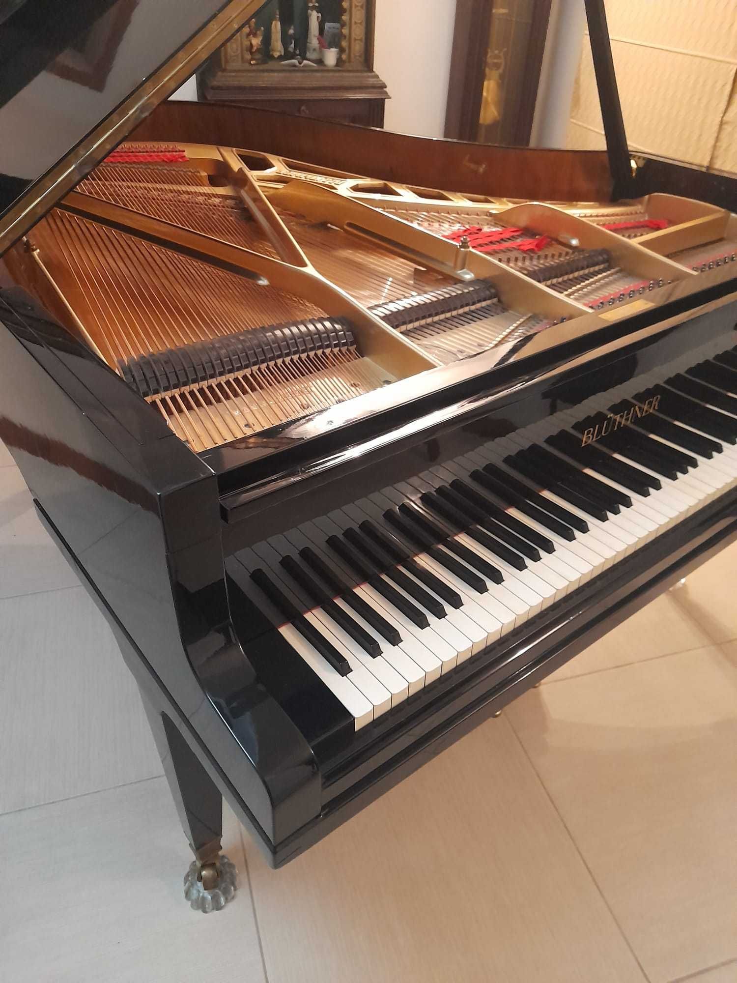 Piano Bluthner de cauda, excepcional, como novo...