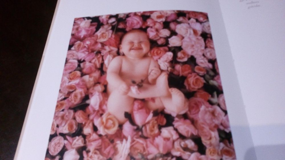 Diário da Minha Gravidez da fotógrafa Anne Geddes: livro descatalogado