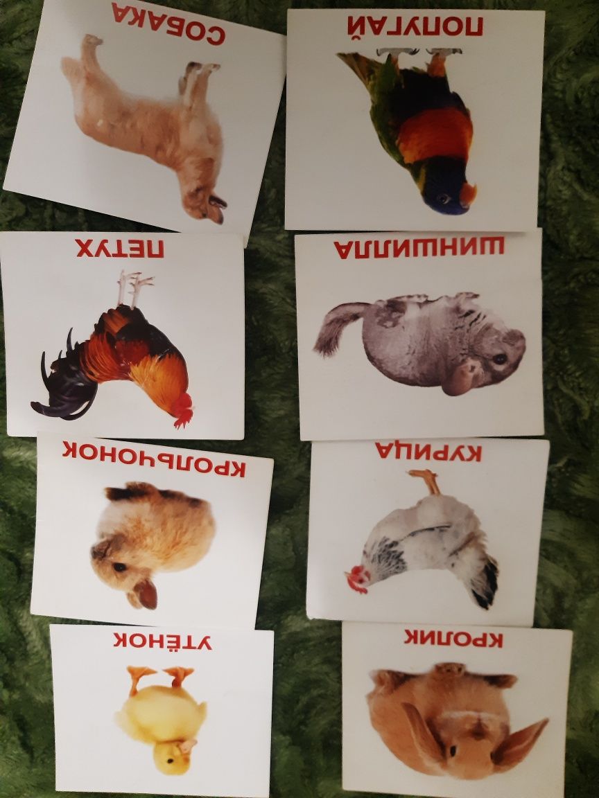 Карточки Домана развивающие1+