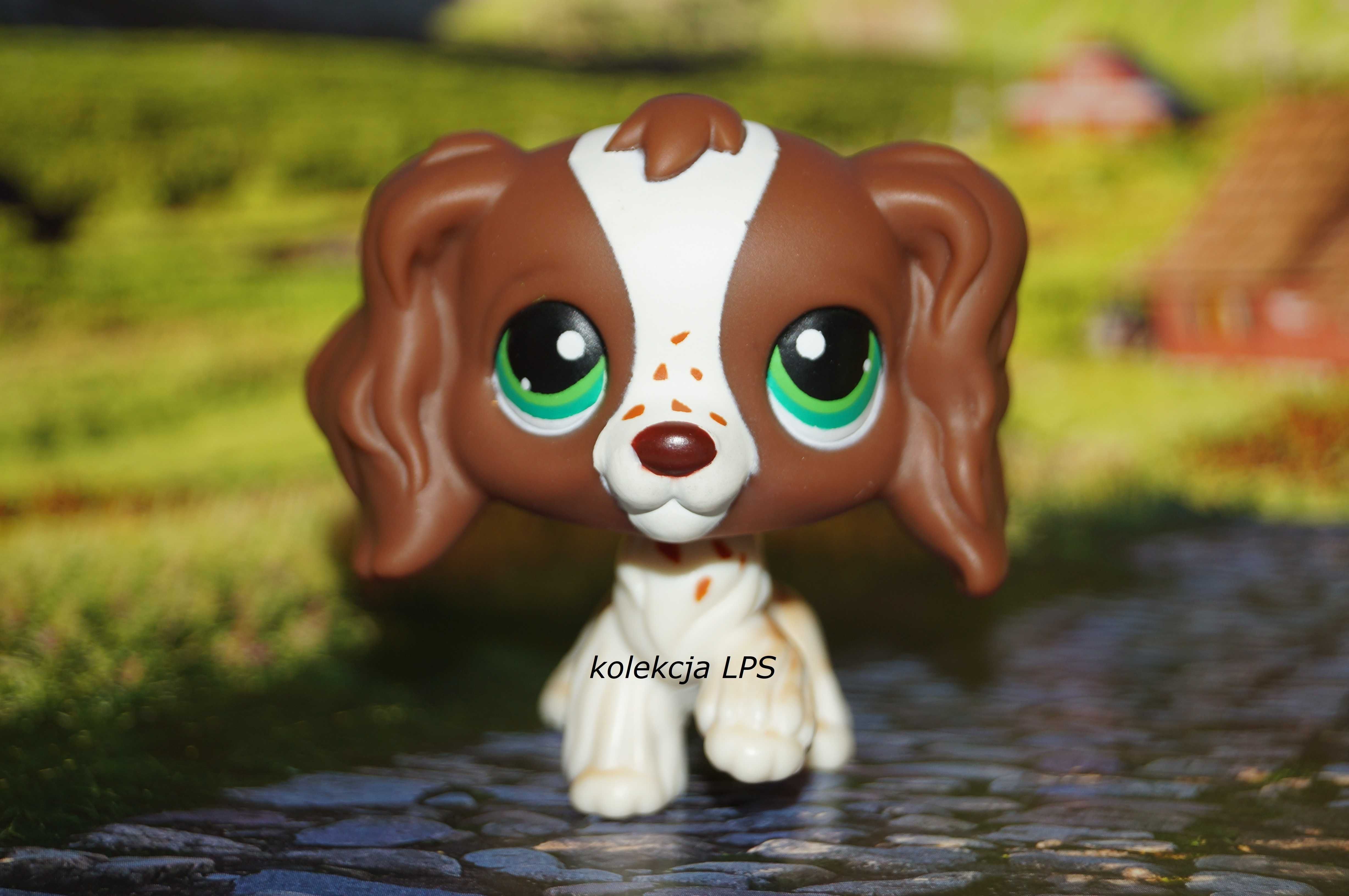 LPS Littlest Pet Shop spaniel #156 oryginalny pop oryginał z piegami