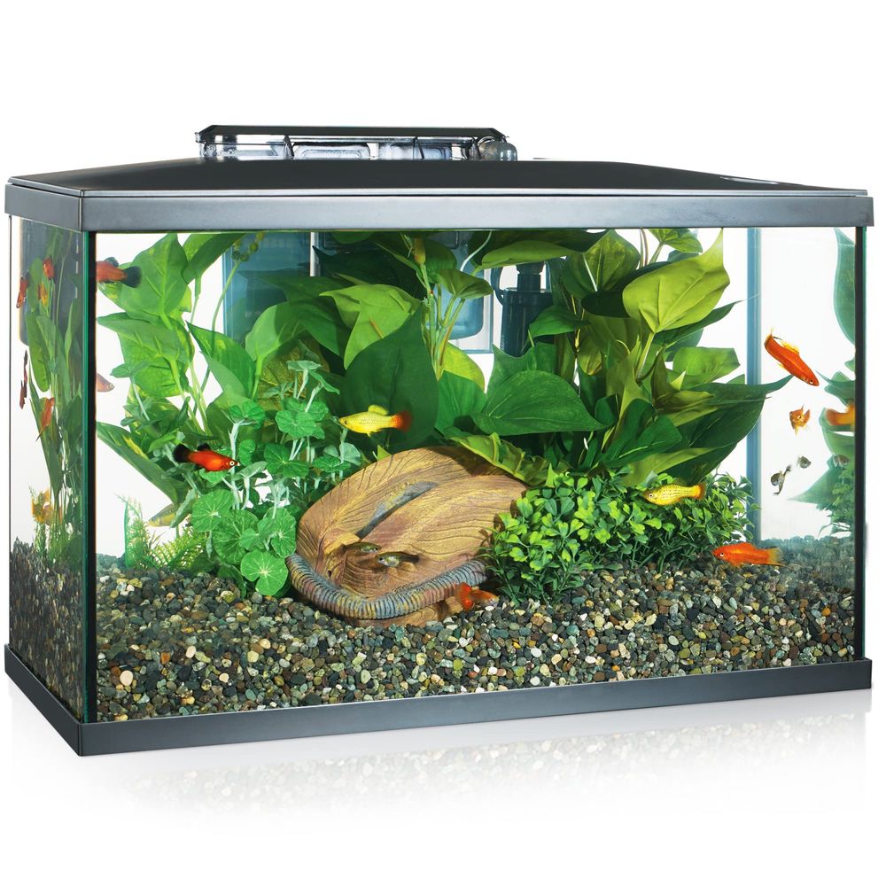 Marina akwarium Zestaw startowy, 38 L 51x26x33 cm