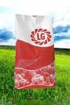 LG Seeds Архітект (ARCHITECT)
