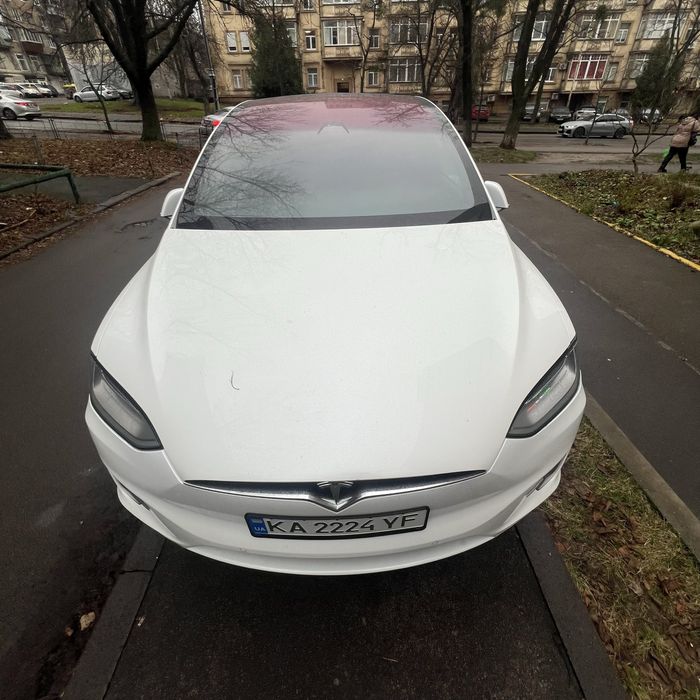 Tesla X 2019 ravin