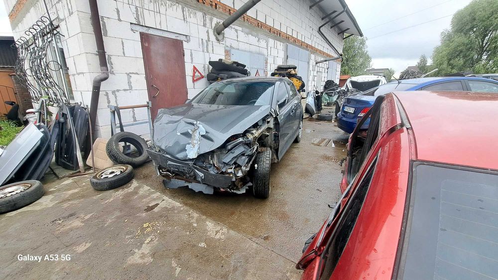 Двері заз форза .