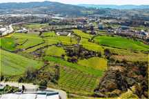 Excelente Terreno Zona Industrial 25Ha em Gondar Guimarães