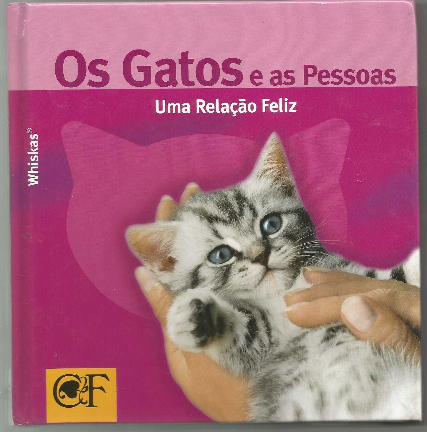 Os gatos e as pessoas uma relação feliz