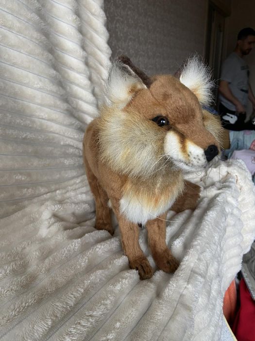 Тигренок,Леопард, Лиса, Енот, Кот  мягкие игрушки фирмы Hansa