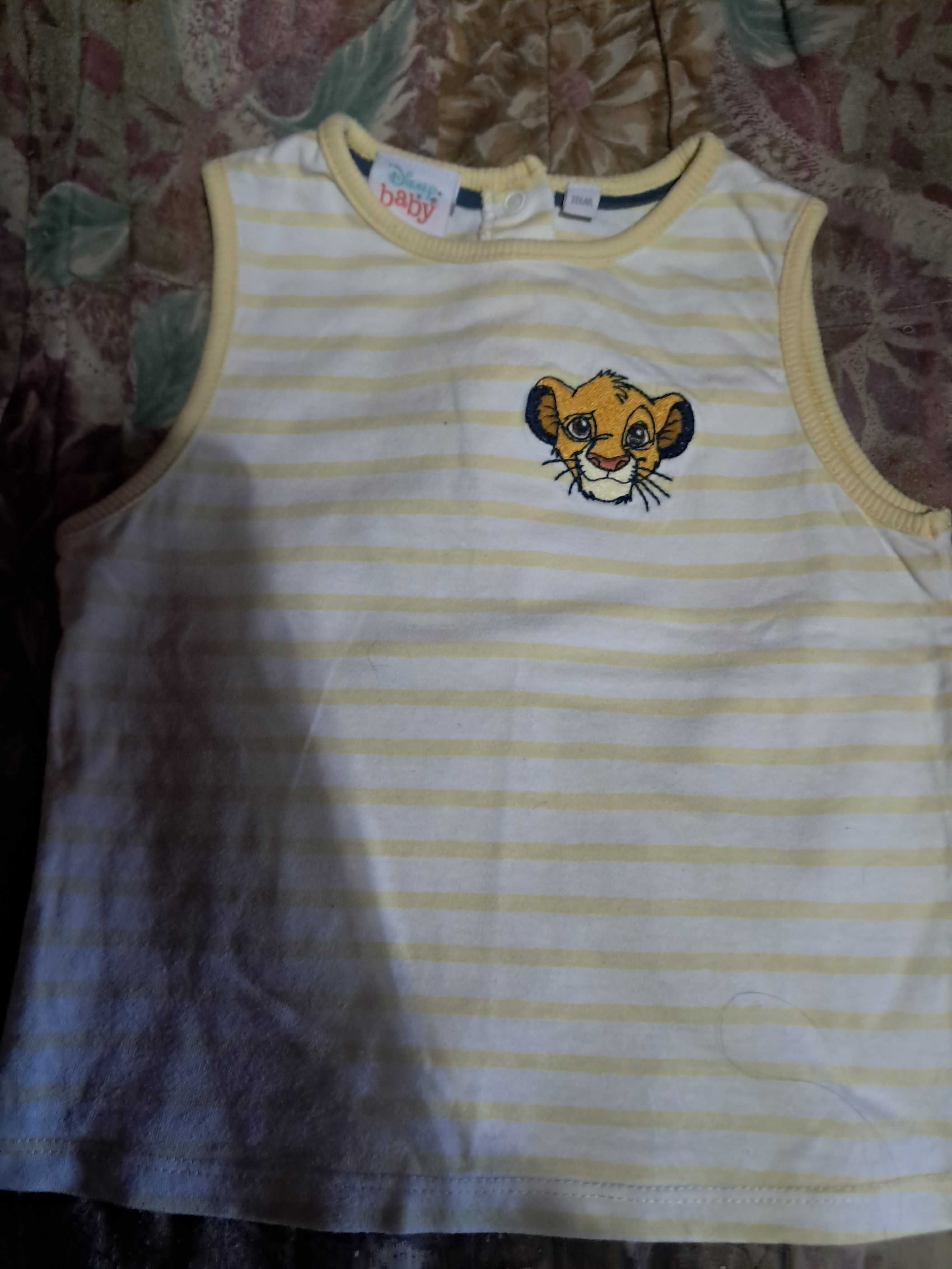 Blusas/T-shirts- 12/24 meses ( Mayoral, C&A, Primark e Code]