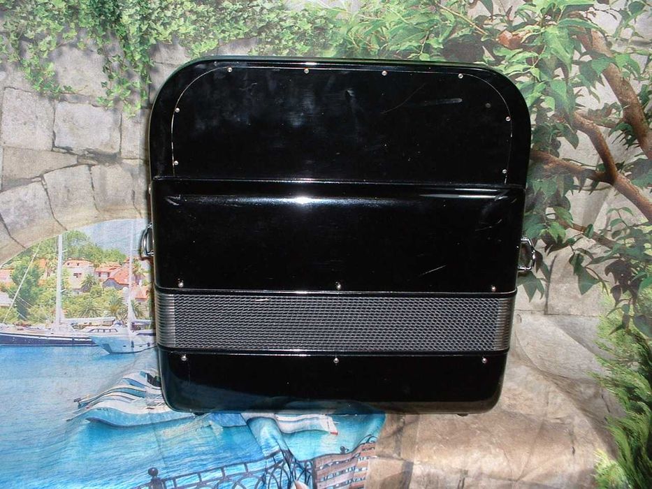 Concertinas a venda N.811