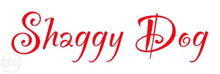 Salon groomingu (fryzjer) i hotel dla psów i kotów - Shaggy Dog