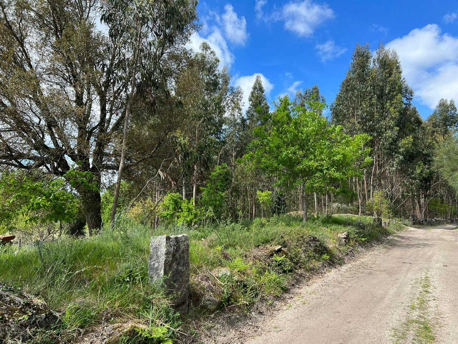 Terreno para construção