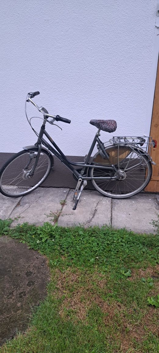 Rower Gazelle Davos