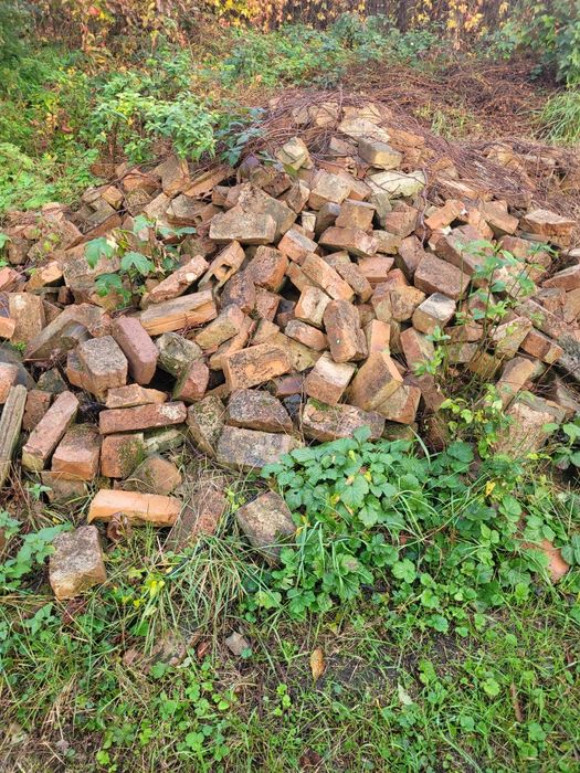 Cegły oddam za darmo