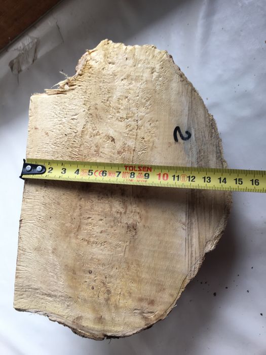 Кап клена яменелистого.