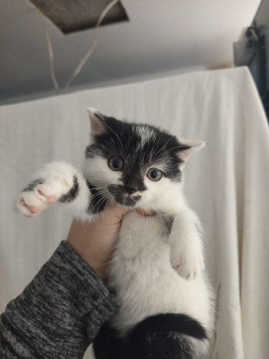 Nel szuka swojego człowieka