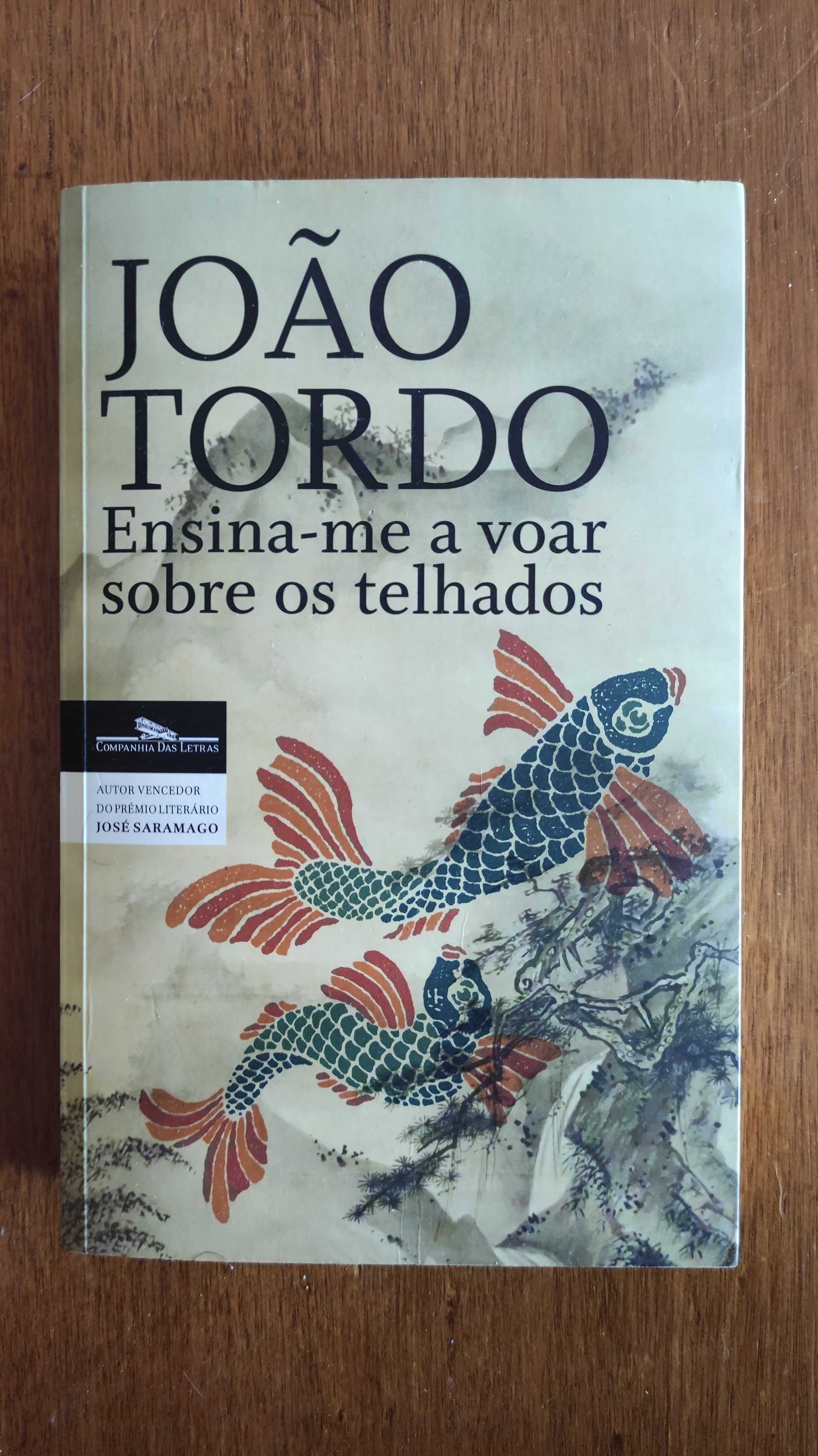 João Tordo — Ensina-me a Voar Sobre os Telhados