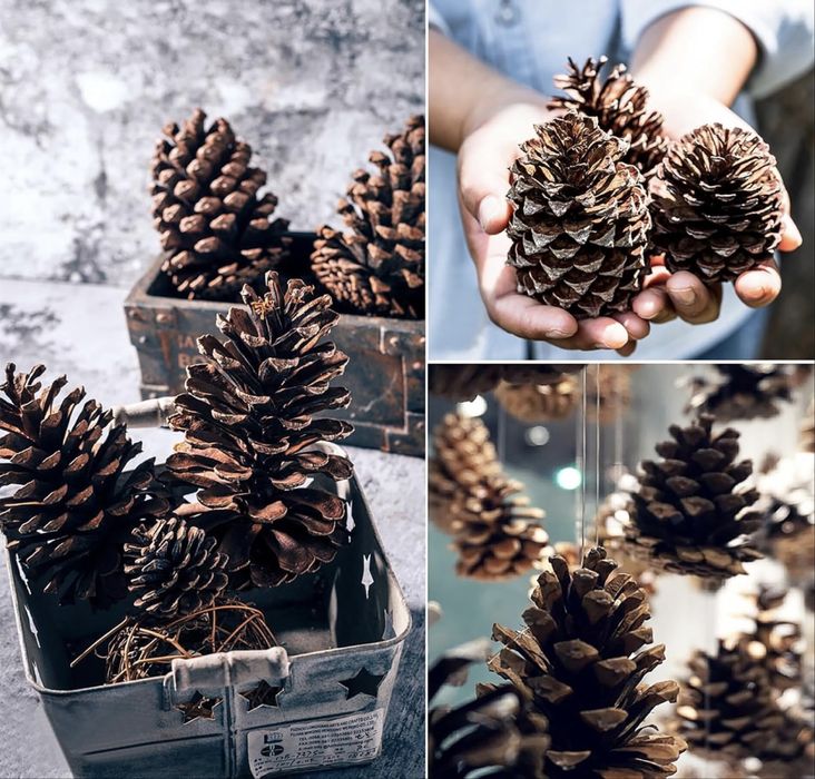 Pinha decorativa para arvore de natal